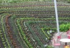 Carapooeepermaculture-5.jpg; ?>